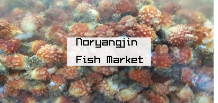 Korean fish market, Seoul, Noryangjin