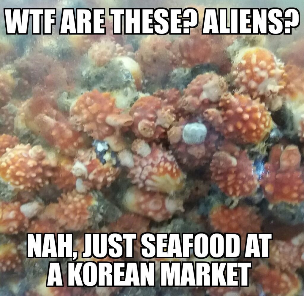 Korea meme, Korean fish