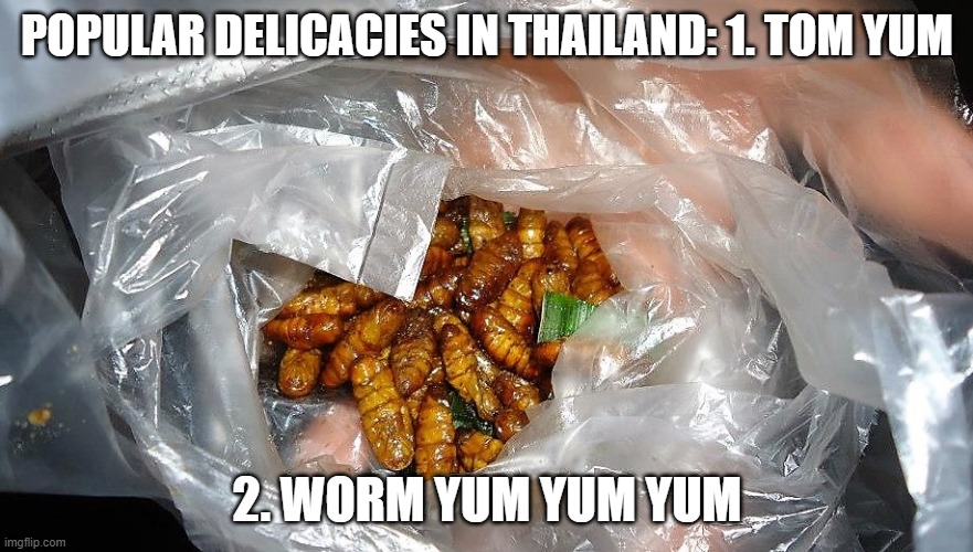 Thailand meme, silk worm picture