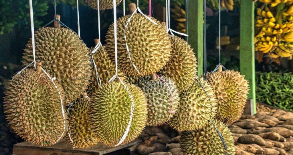 Bangkok Culture Shock: Durian is the smelliest fruit, and Bangkok is a good place to try it