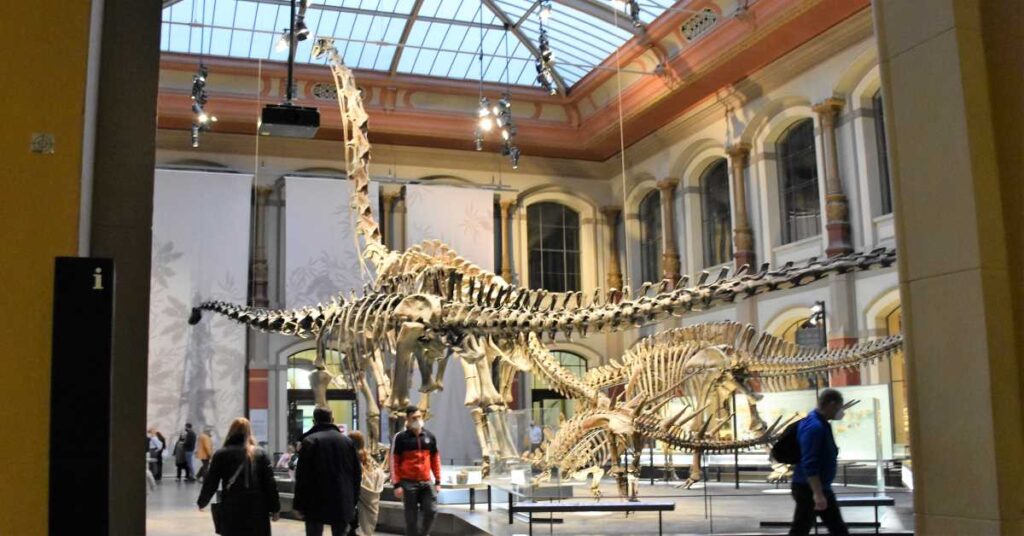 Brachiosaurus in Berlin Naturkunde Museum 