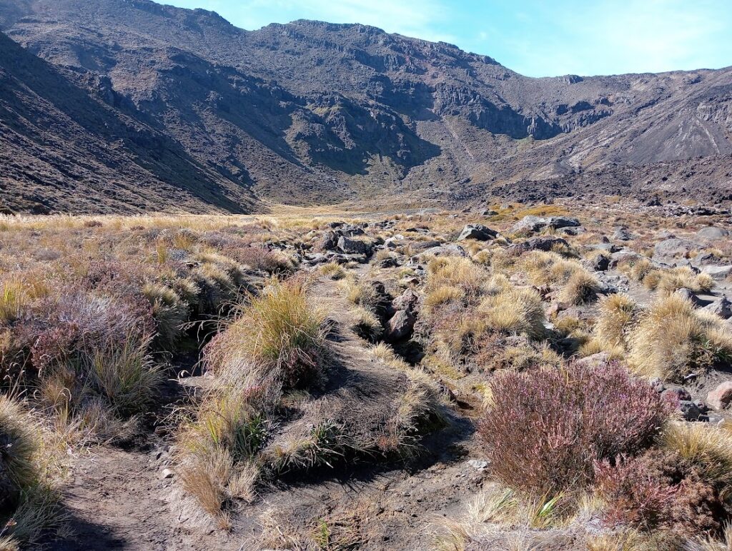 Tongariro ALpine CRossing kilometer 3 of 20