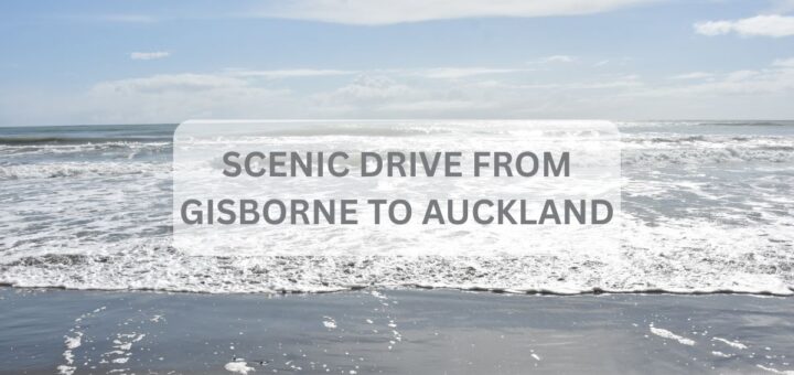 DRrive from Gisborne to Auckland cover