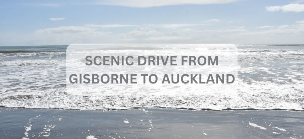 DRrive from Gisborne to Auckland cover