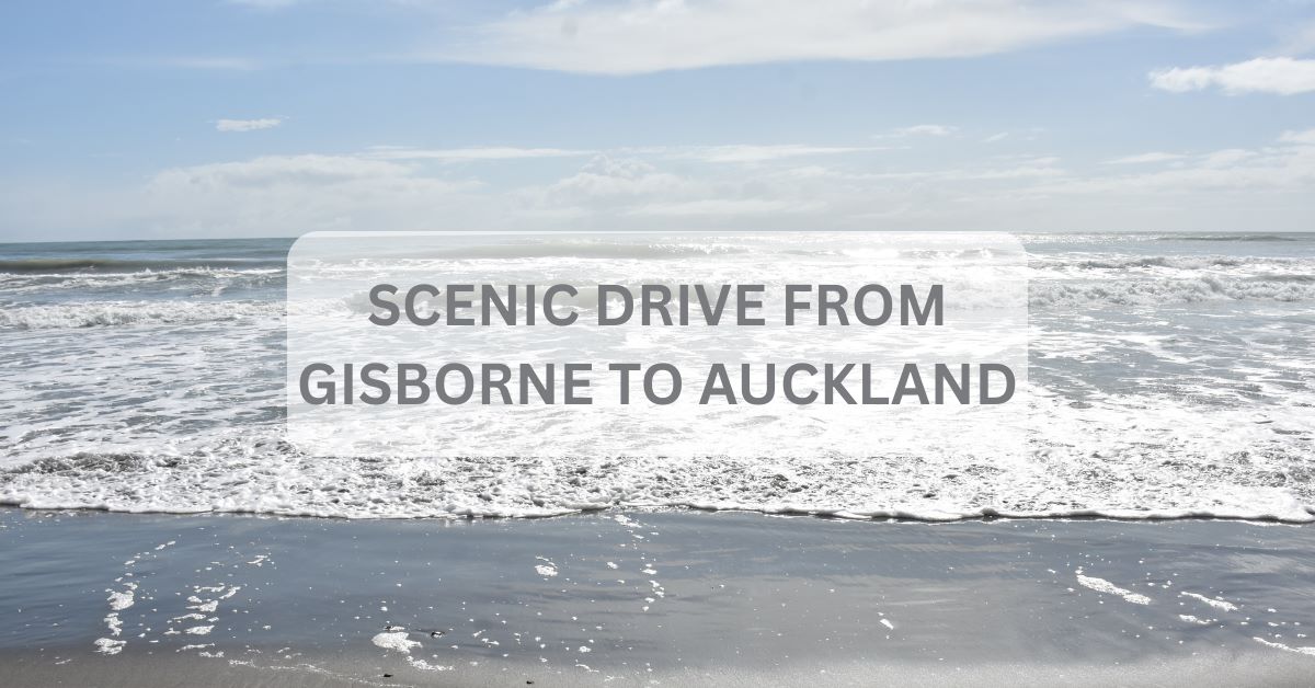 DRrive from Gisborne to Auckland cover